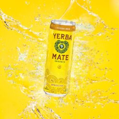 Guayakí Yerba Mate, Organic Sparkling Energy Drink Alternative, Classic Gold, 15.5 Oz (Pack of 12) (Packaging May Vary)