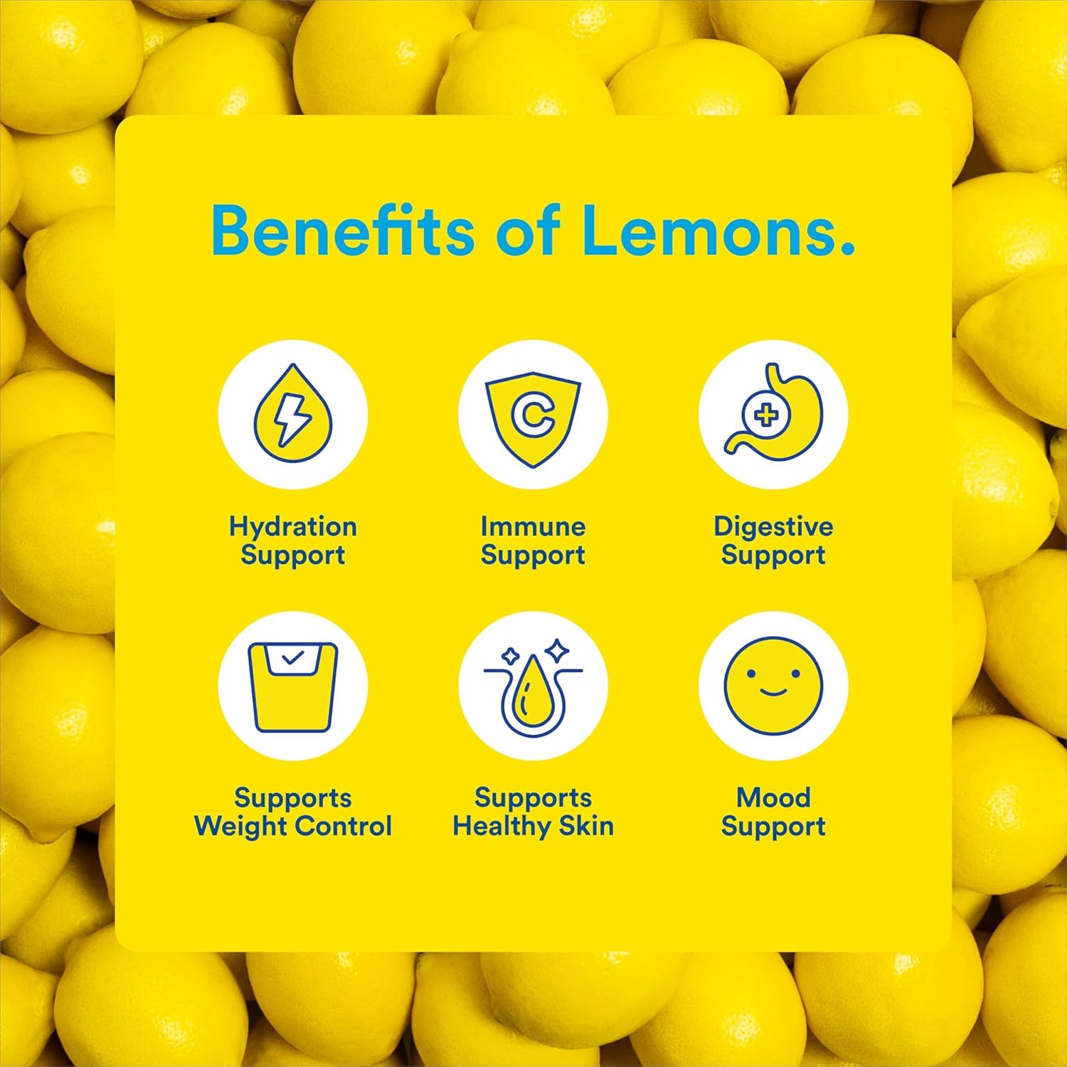 Lemon Perfect Blueberry, Hydrating Flavored Lemon Water, Zero Sugar, Delicious and Refreshing, Organic, 15.2 fl oz Bottles (12-Pack)