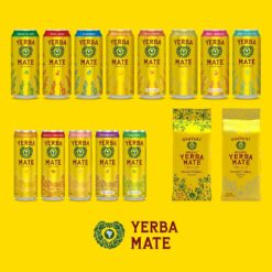 Guayakí Yerba Mate, Organic Sparkling Energy Drink Alternative, Classic Gold, 15.5 Oz (Pack of 12) (Packaging May Vary)
