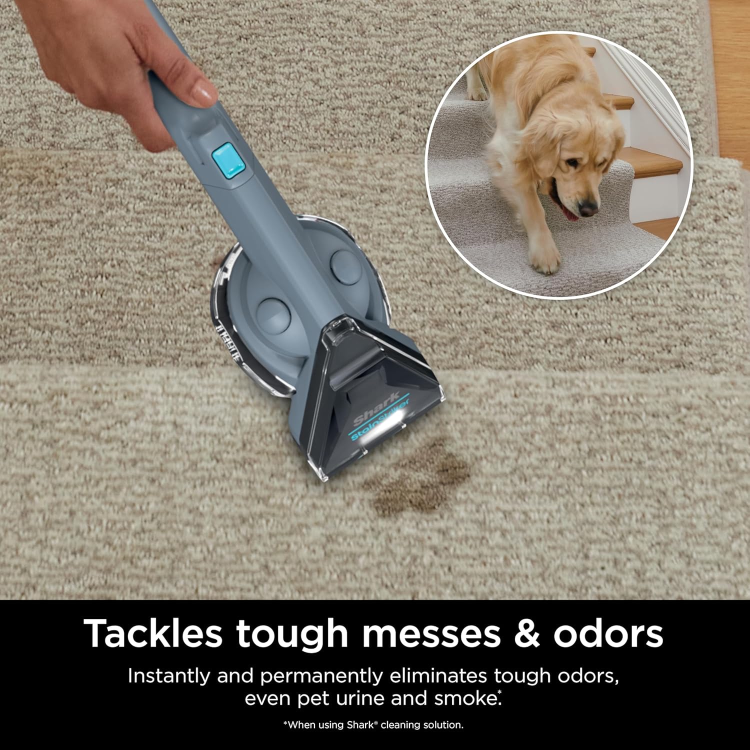 Shark Carpet Cleaner Machine, Portable Upholstery StainStriker, Spot, Odor & Stain Remover, Nordic Blue, PX202BRN - Image 4