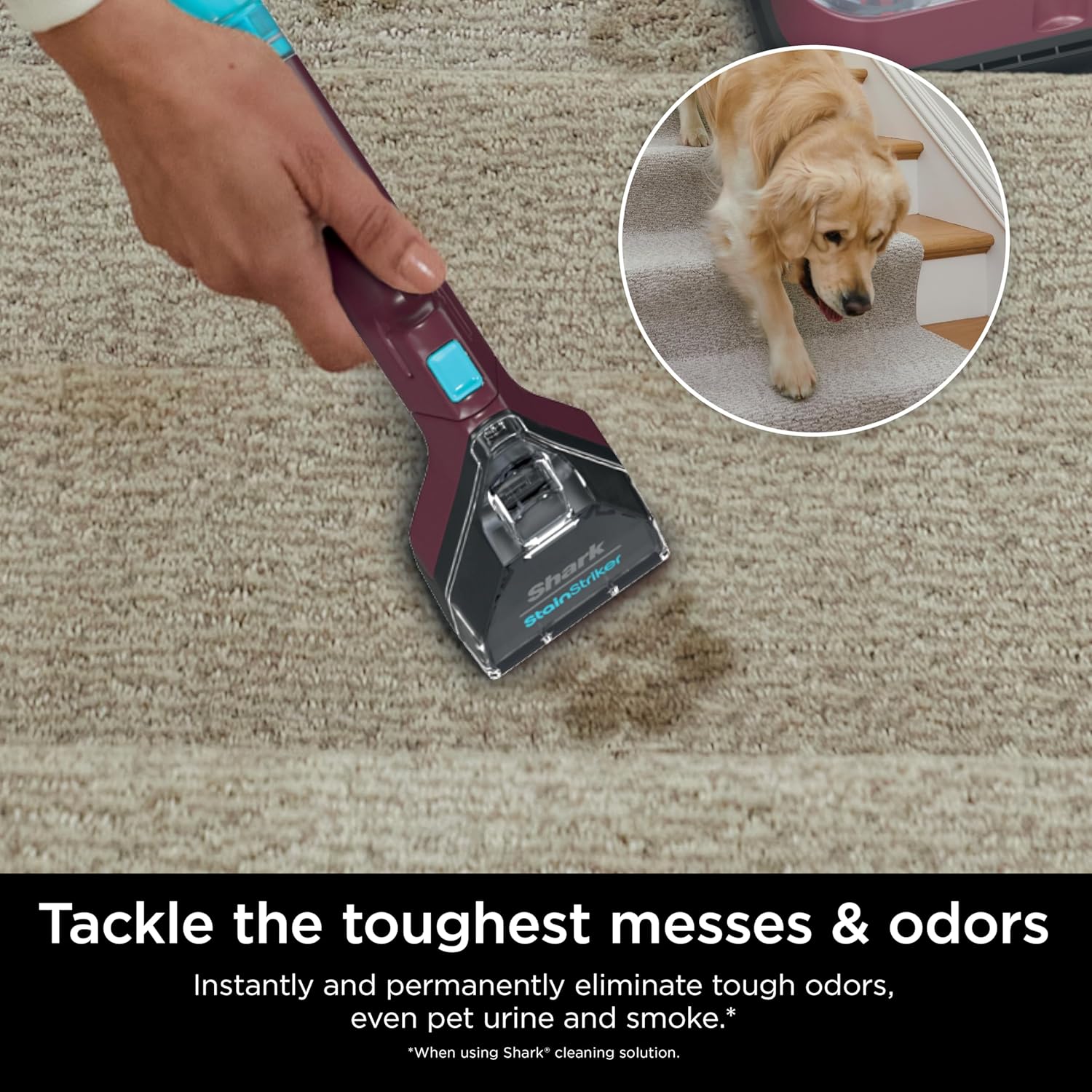 Shark Carpet Cleaner Machine, Portable Upholstery StainStriker, Spot, Odor & Stain Remover, Burgundy, PX203BRN - Image 4