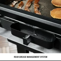 Blackstone E-Series 2-Burner 22