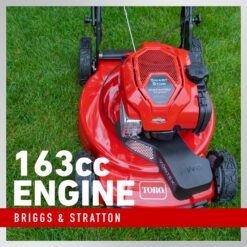 Toro Recycler All Wheel Drive with Personal Pace 22-in Gas Self-propelled lawn mower with 163-cc Briggs and Stratton Engine