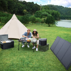 EcoFlow NextGen 220W Bifacial Portable Solar Panel 84.8-in x 24.2-in x 1-in 220-Watt Portable Solar Panel