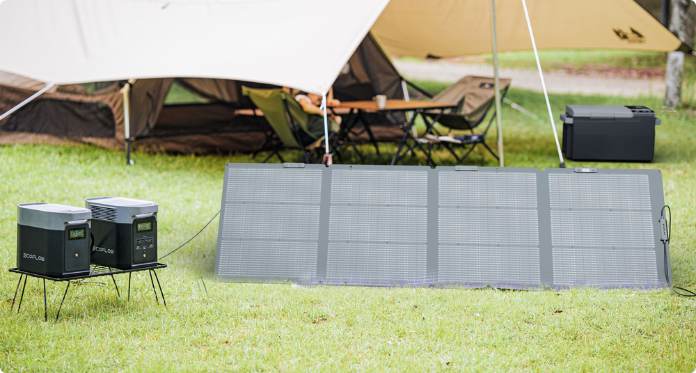 EcoFlow NextGen 220W Bifacial Portable Solar Panel 84.8-in x 24.2-in x 1-in 220-Watt Portable Solar Panel