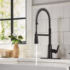 Moen Edwyn Matte Black Single Handle Deck-mount Pull-down Kitchen Faucet with Sprayer ( Deck Plate Included ) (Soap Dispenser Included)