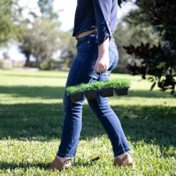 Bethel Farms 144-sq ft Natural Zoysia Sod Plug