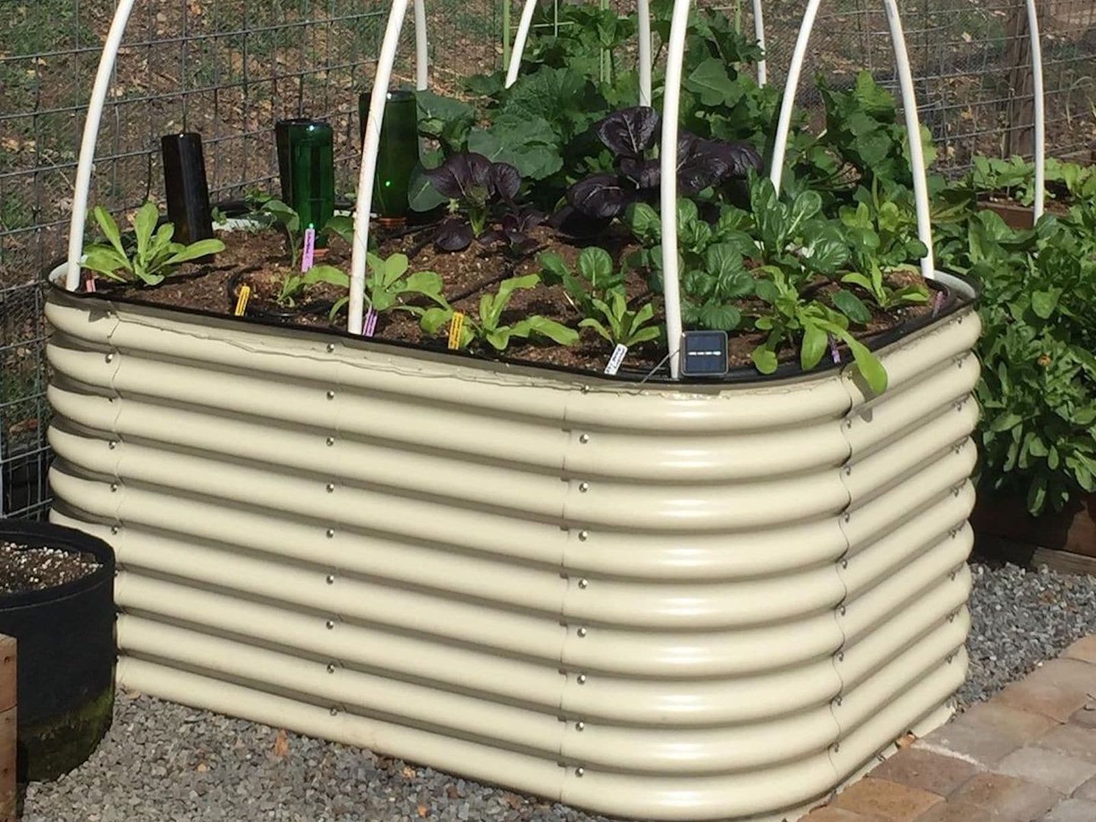 Vego Garden 42-Inches W x 60-Inches L x 32-Inches H Pearl White Metal Raised Garden Bed