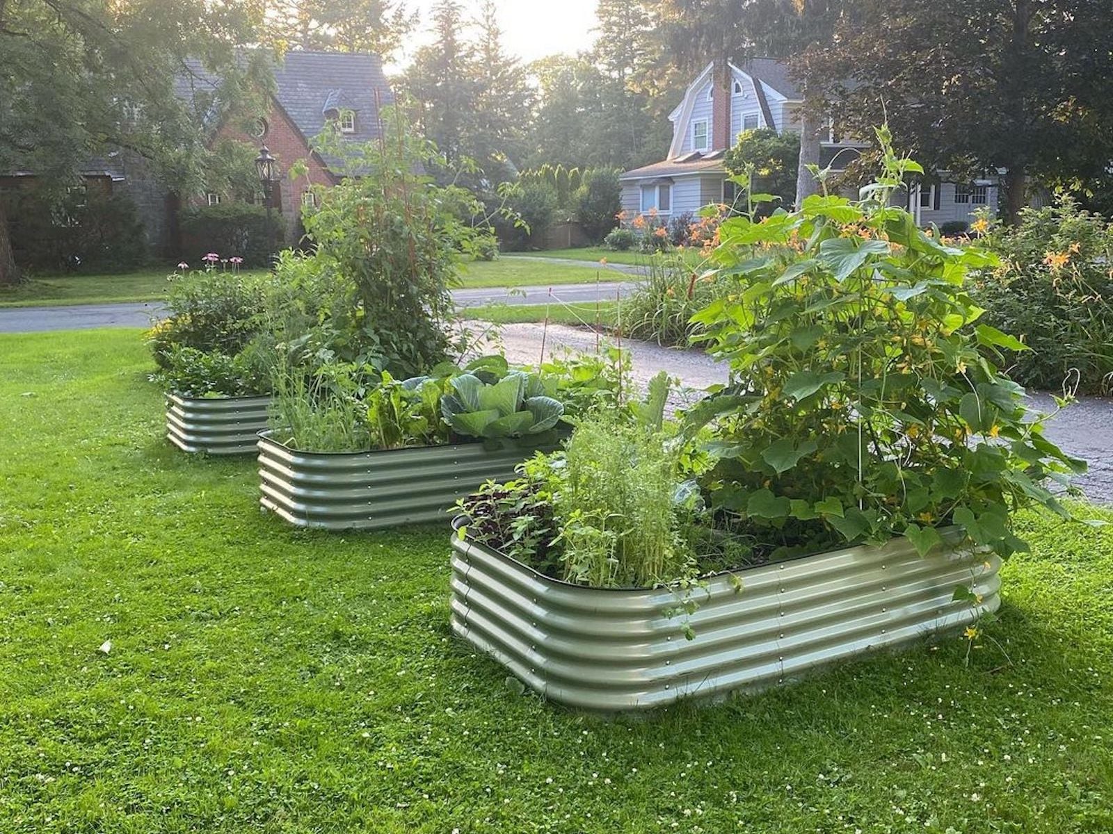 Vego Garden 42-Inches W x 78-Inches L x 17-Inches H Olive Green Metal Raised Garden Bed