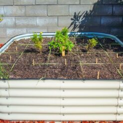 Vego Garden 48-Inches W x 96-Inches L x 17-Inches H Pearl White Metal Raised Garden Bed