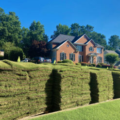 Harmony Outdoor Brands 500-sq ft Natural Bermuda Sod Pallet