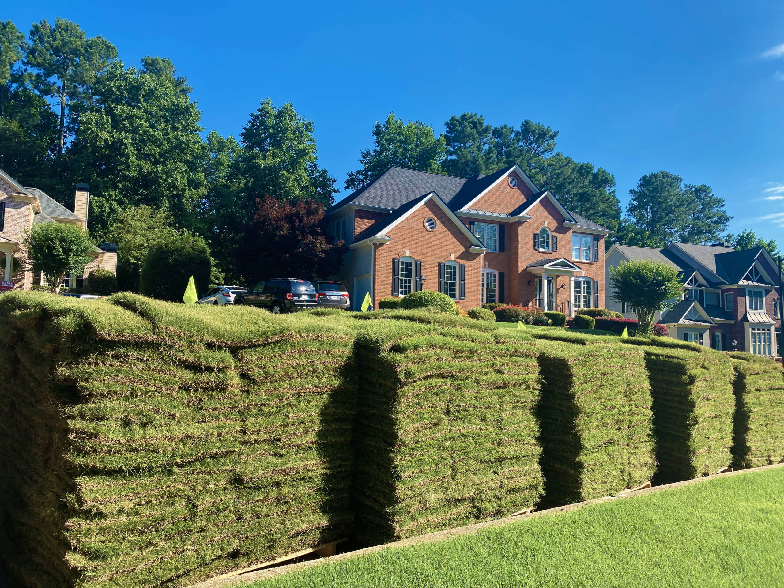 Harmony Outdoor Brands 500-sq ft Natural Bermuda Sod Pallet