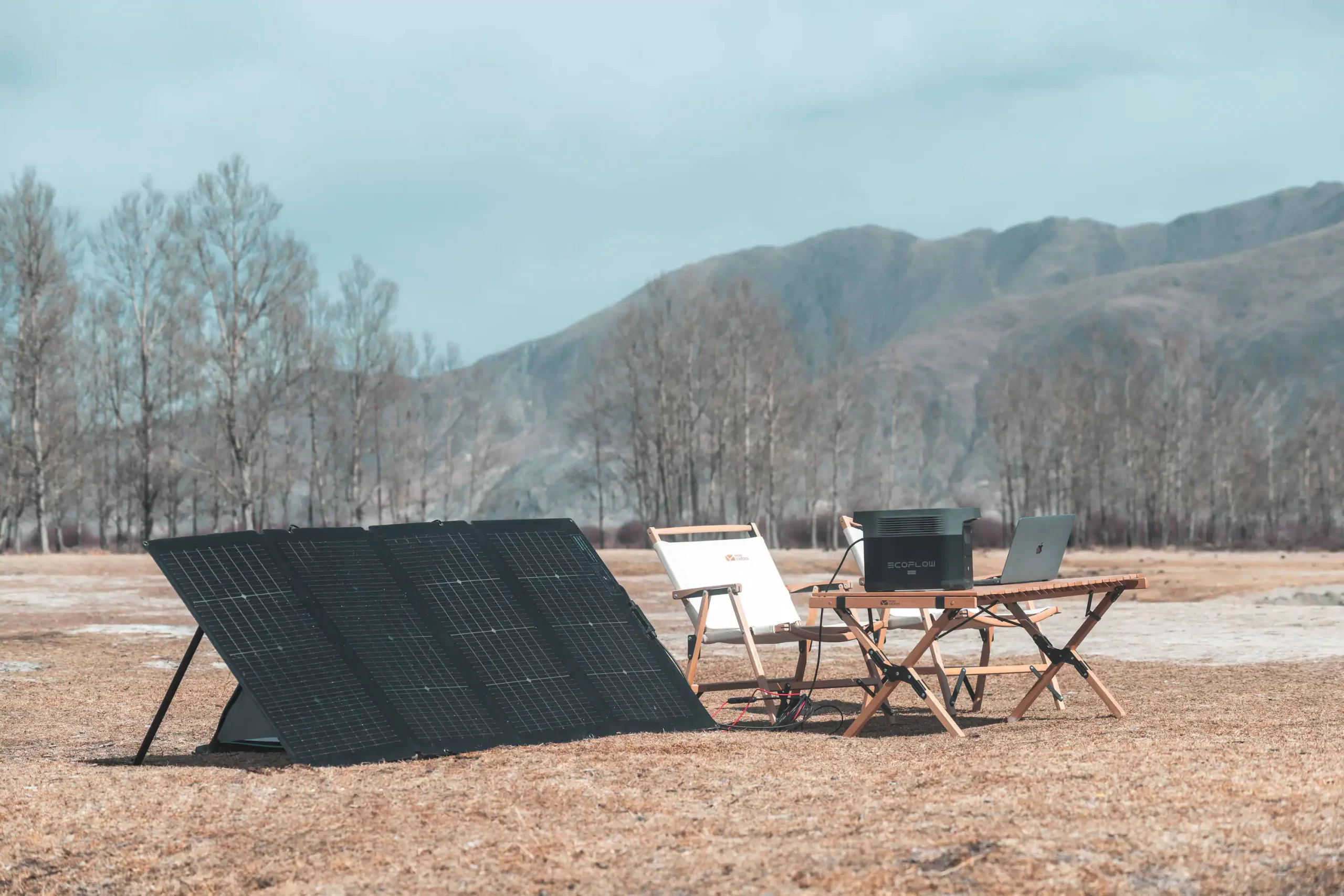 EcoFlow 220W Solar Panel 72.0-in x 32.3-in x 1-in 220-Watt Portable Solar Panel