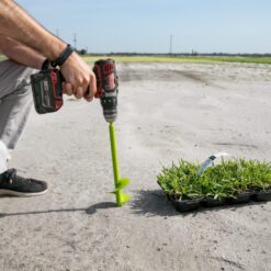 Bethel Farms 144-sq ft Natural Zoysia Sod Plug