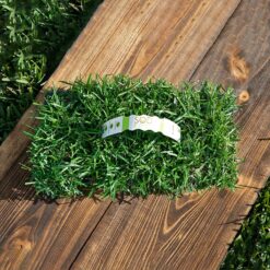 Bethel Farms 144-sq ft Natural Centipede Sod Plug