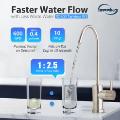 iSpring RO600-BN Dual-stage Multi-method Reverse Osmosis Filtration System