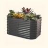 Vego Garden 42-Inches W x 60-Inches L x 32-Inches H Modern Gray Metal Raised Garden Bed