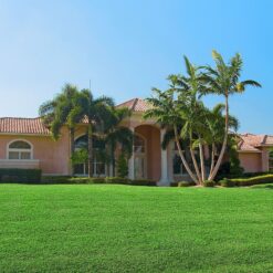 Harmony Outdoor Brands 500-sq ft Natural Bermuda Sod Pallet