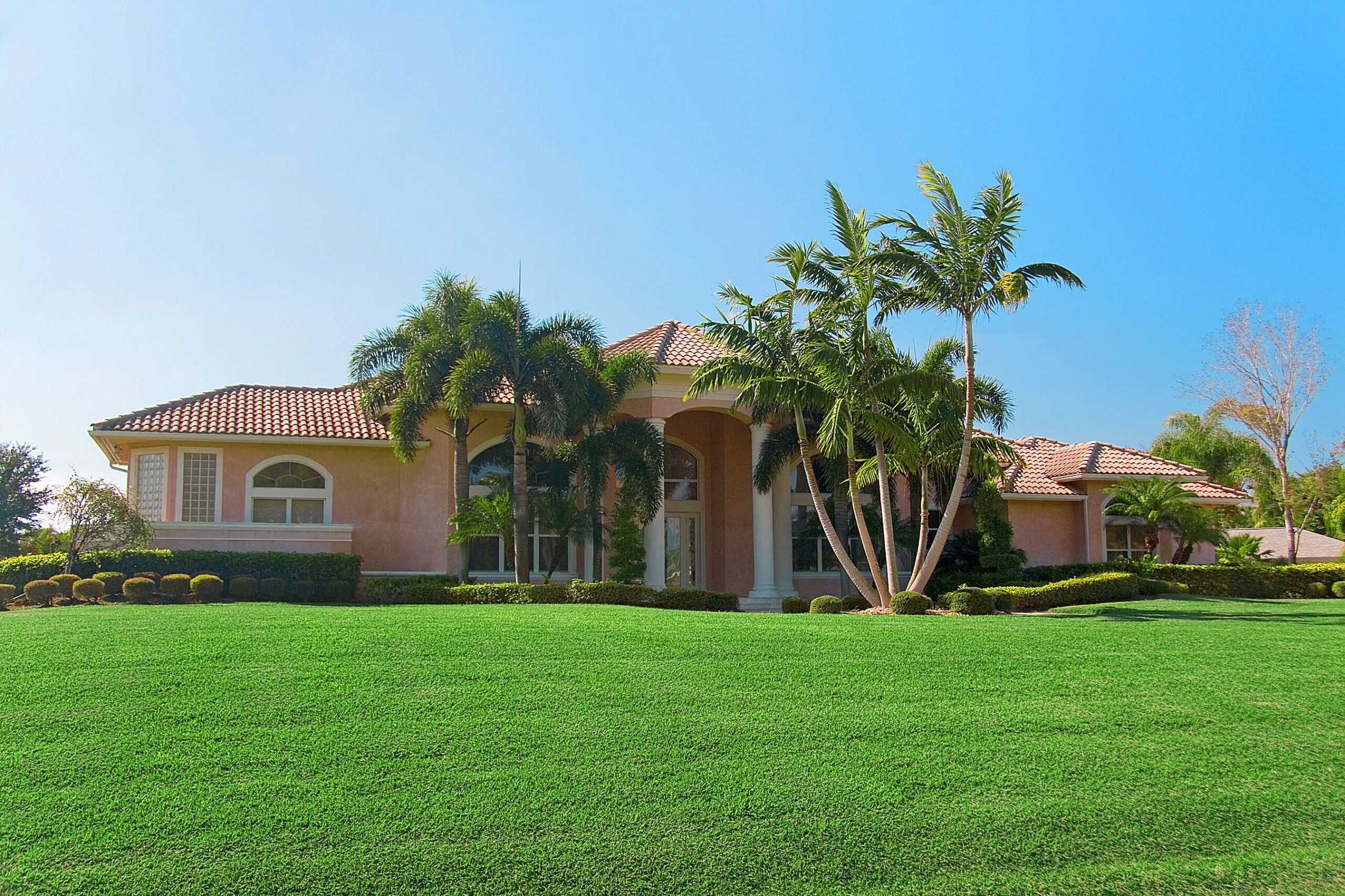 Harmony Outdoor Brands 500-sq ft Natural Bermuda Sod Pallet