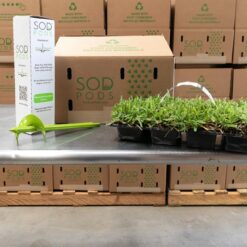Bethel Farms SodPods St Augustine Palmetto (64-Count)/SP Power Planter Bundle, Natural Affordable Lawn Improvement