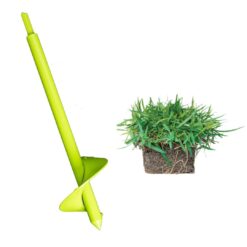 Bethel Farms 144-sq ft Natural Zoysia Sod Plug