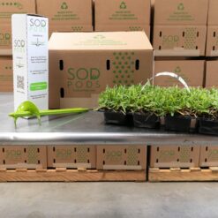 Bethel Farms SodPods St Augustine CitraBlue (64-Count)/SP Power Planter Bundle, Natural Affordable Lawn Improvement