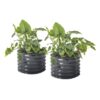 Vego Garden 24-Inches W x 24-Inches L x 17-Inches H Modern Gray Galvanized Metal Raised Garden Bed