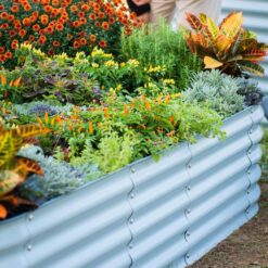 Vego Garden 42-Inches W x 60-Inches L x 32-Inches H Sky Blue Galvanized Metal Raised Garden Bed