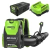 Greenworks 80-volt 610-CFM 180-MPH Battery Backpack Leaf Blower 4 Ah (Battery and Charger Included)