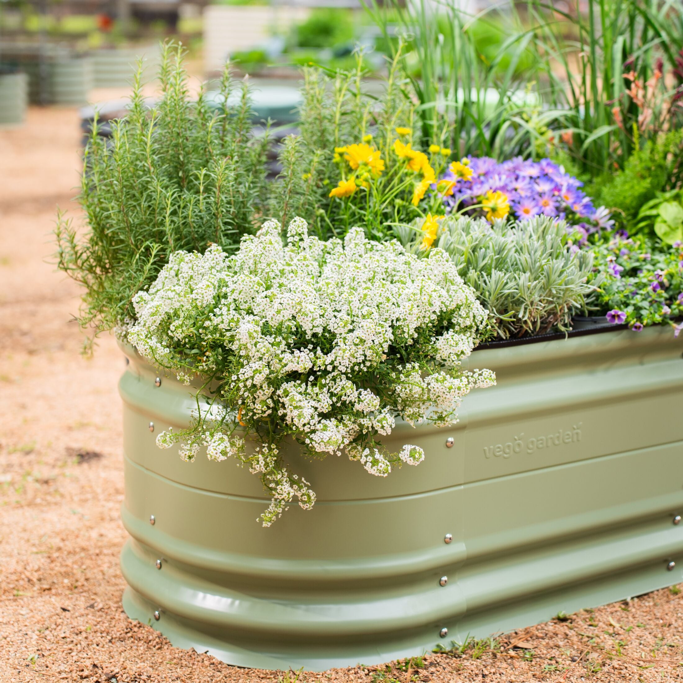 Vego Garden 42-Inches W x 78-Inches L x 17-Inches H Olive Green Galvanized Metal Raised Garden Bed