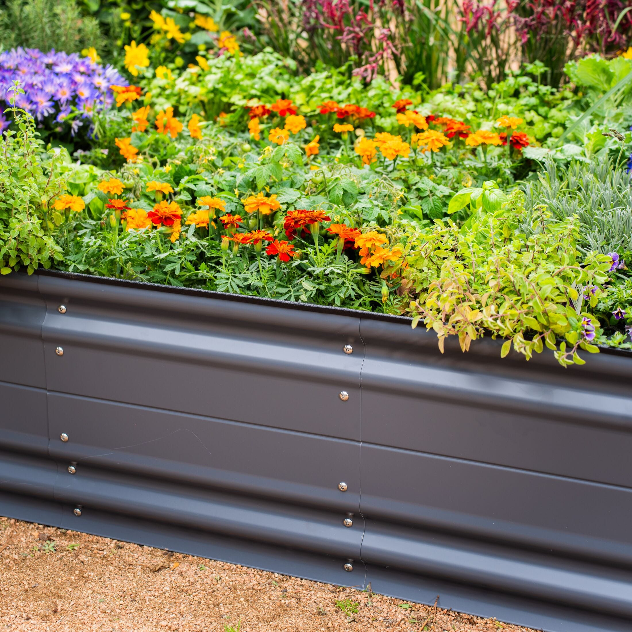 Vego Garden 42-Inches W x 78-Inches L x 17-Inches H Modern Gray Galvanized Metal Raised Garden Bed