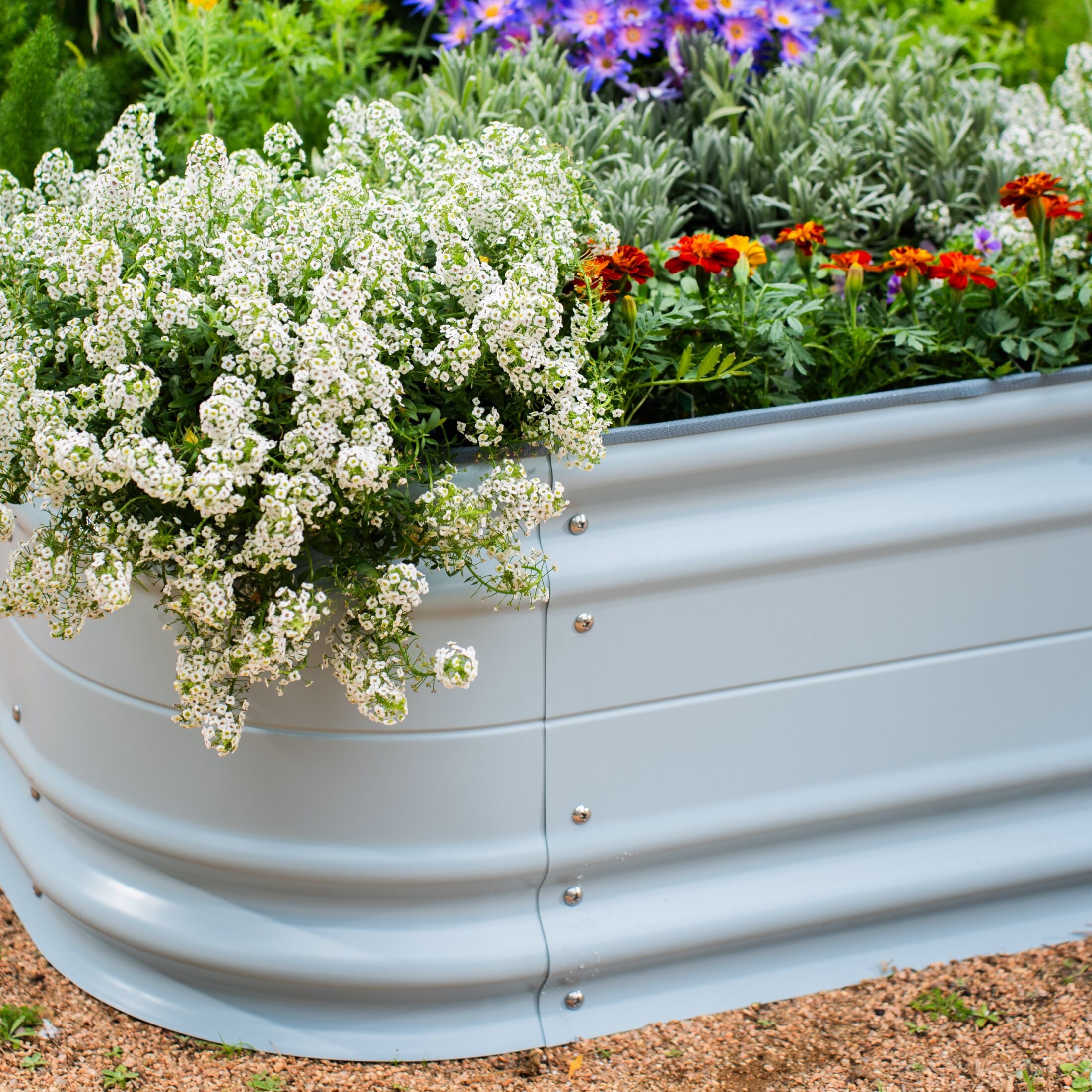 Vego Garden 42-Inches W x 78-Inches L x 17-Inches H Sky Blue Galvanized Metal Raised Garden Bed