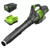 Greenworks Pro 80-volt Max 500-CFM 150-MPH Battery Handheld Leaf Blower 2 Ah (Battery and Charger Included)