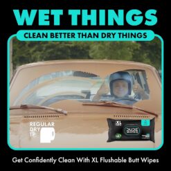 DUDE Wipes - Mint Chill Extra-Large Adult Wet Wipes with Eucalyptus & Tea Tree Oil,18 Pack, 864 Wipes, 1 Spray Bottle