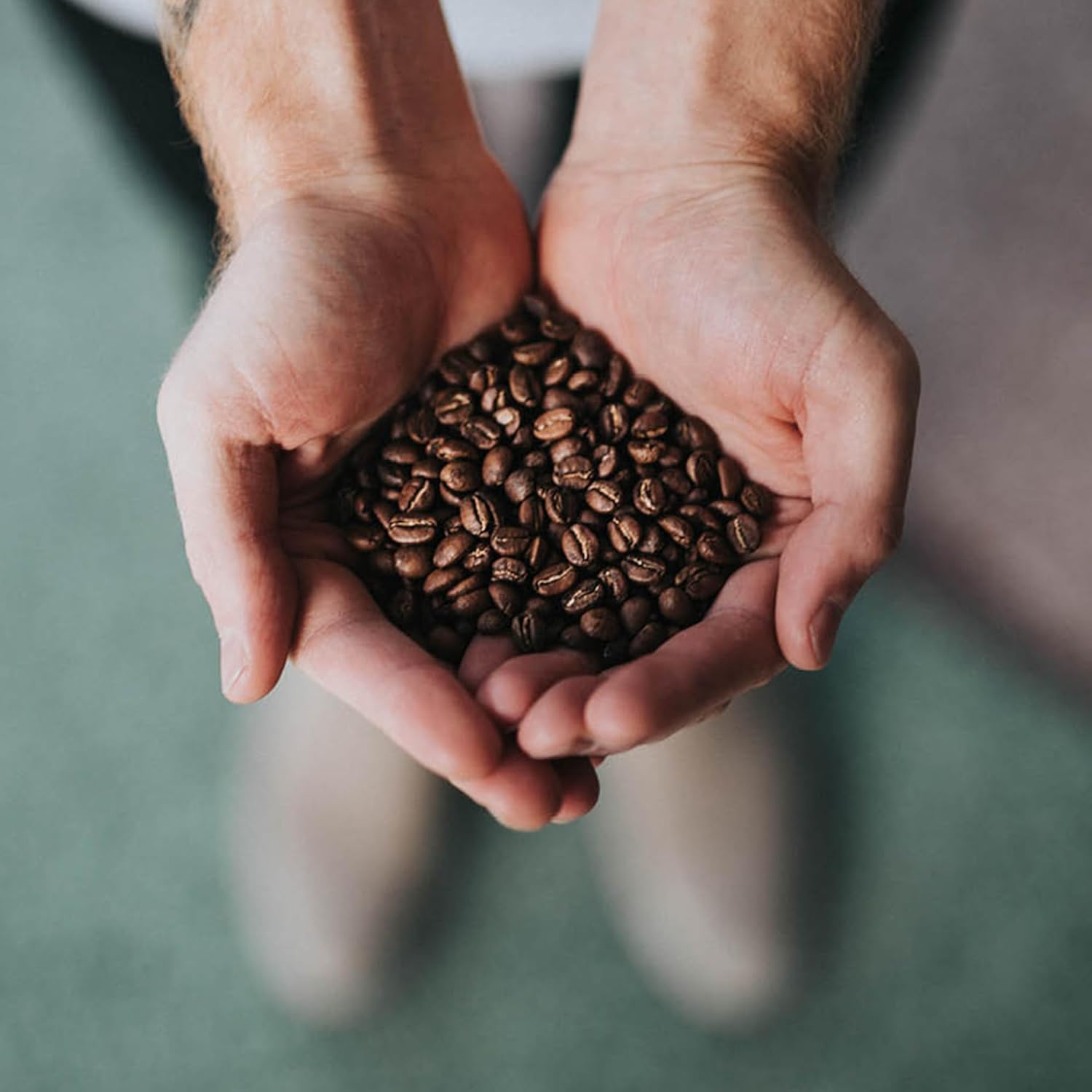 Coffee Bean Direct Penny Pincher's Light Roast Blend, Whole Bean, 5 lb Bag
