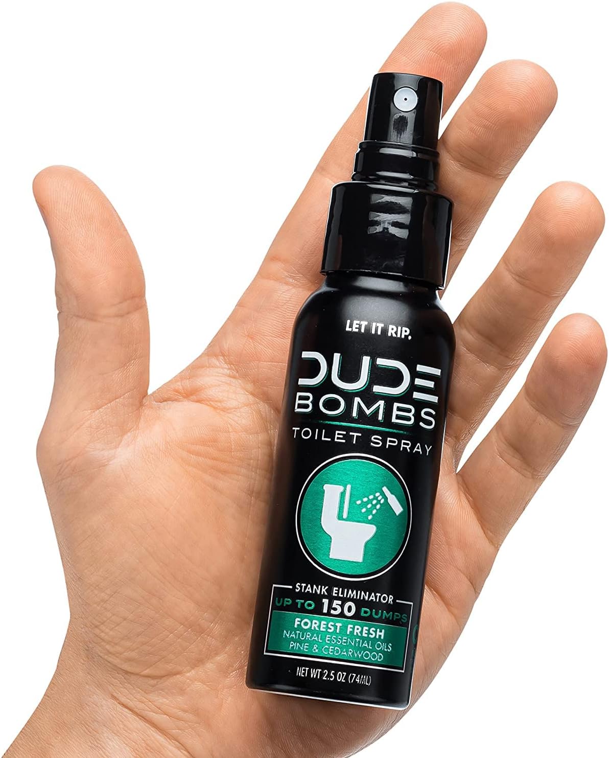 DUDE Wipes - Mint Chill Extra-Large Adult Wet Wipes with Eucalyptus & Tea Tree Oil,18 Pack, 864 Wipes, 1 Spray Bottle