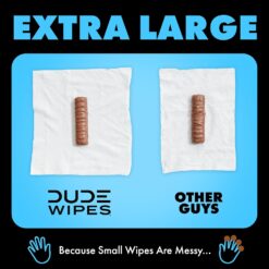 DUDE Wipes - Flushable Wipes with DUDE Bombs Toilet Spray - 18 Pack, 864 Wipes, 1 Spray Bottle