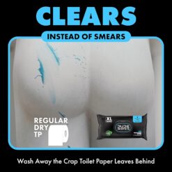 DUDE Wipes - Flushable Wipes with DUDE Bombs Toilet Spray - 18 Pack, 864 Wipes, 1 Spray Bottle