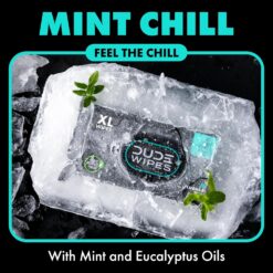 DUDE Wipes - Mint Chill Extra-Large Adult Wet Wipes with Eucalyptus & Tea Tree Oil,18 Pack, 864 Wipes, 1 Spray Bottle