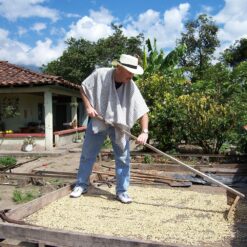 Cafe Don Pablo 2LB Subtle Earth Organic Decaf - Swiss Water Process Decaf - Medium Dark Roast - 2 Pound Bag