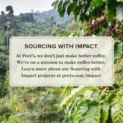 Peet's Coffee, Medium Roast Decaffeinated Coffee K-Cup Pods - Decaf Especial 60 Count, Packaging May Vary