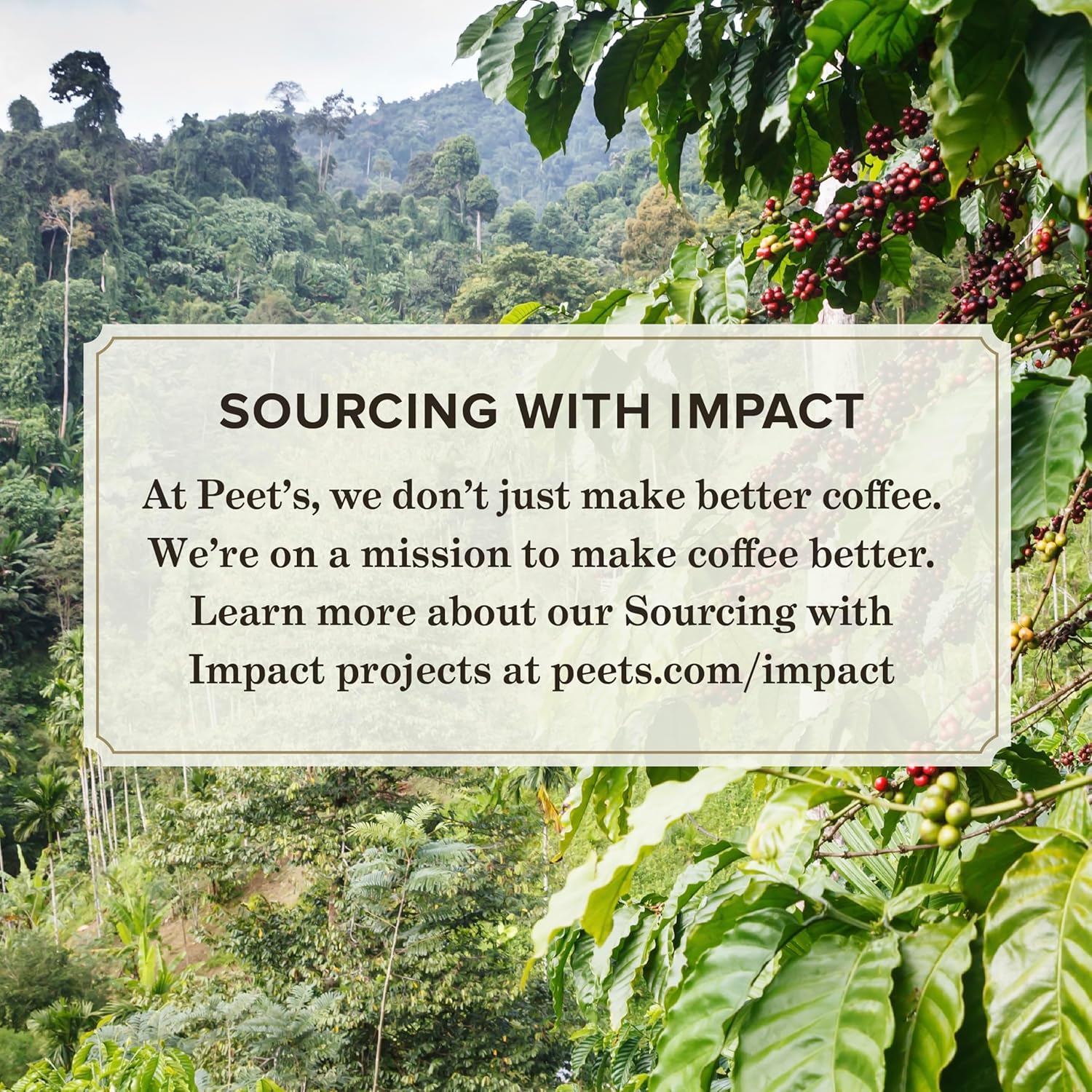 Peet's Coffee, Medium Roast Decaffeinated Coffee K-Cup Pods - Decaf Especial 60 Count, Packaging May Vary