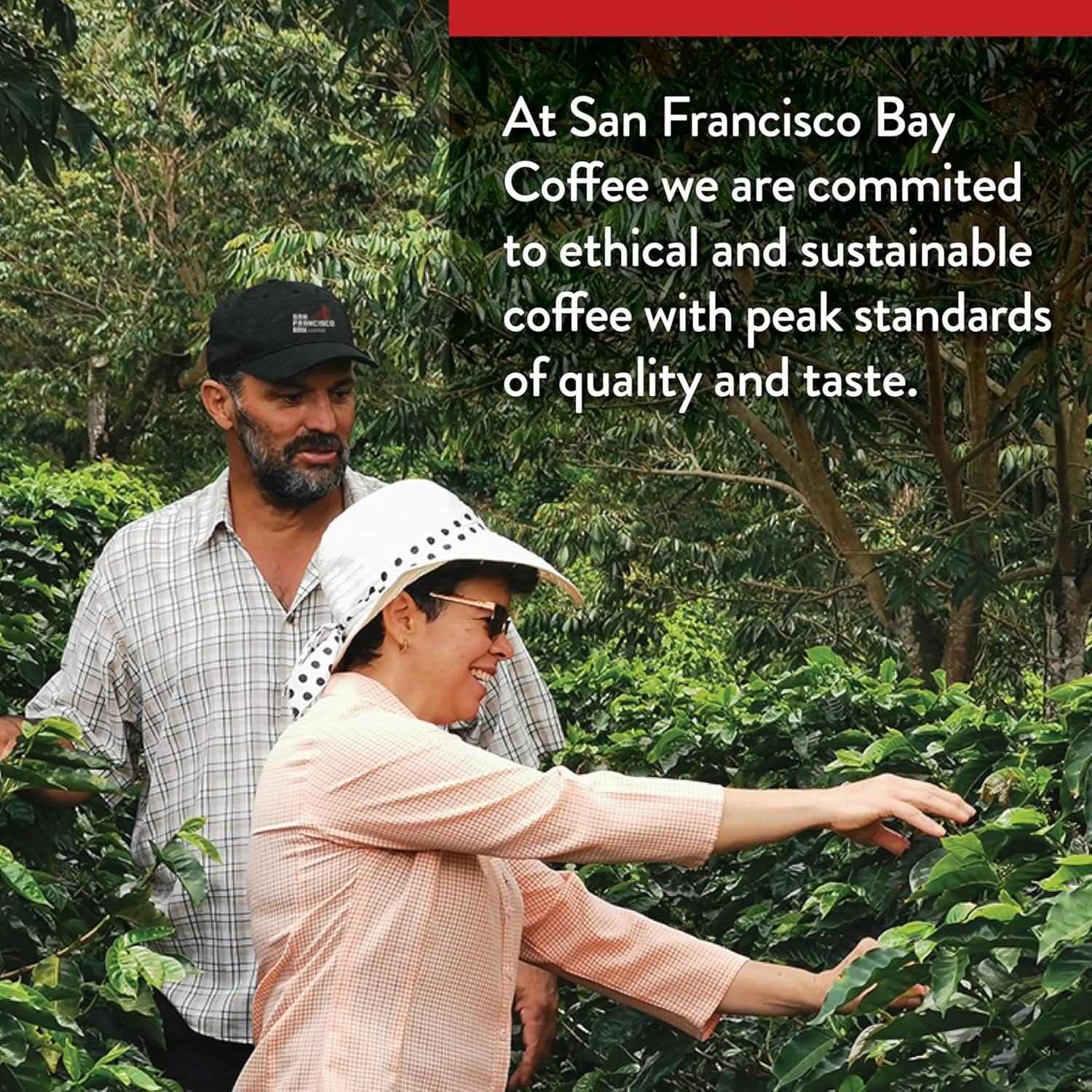 San Francisco Bay Compostable Coffee Pods - Original Variety Pack (80 Ct) K Cup Compatible including Keurig 2.0, French, Breakfast, Fog, Organic Rainforest