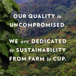 Community Coffee Signature Blend 72 Count Coffee Pods, Dark Roast, Compatible with Keurig 2.0 K-Cup Brewers, 12 Count (Pack of 6)