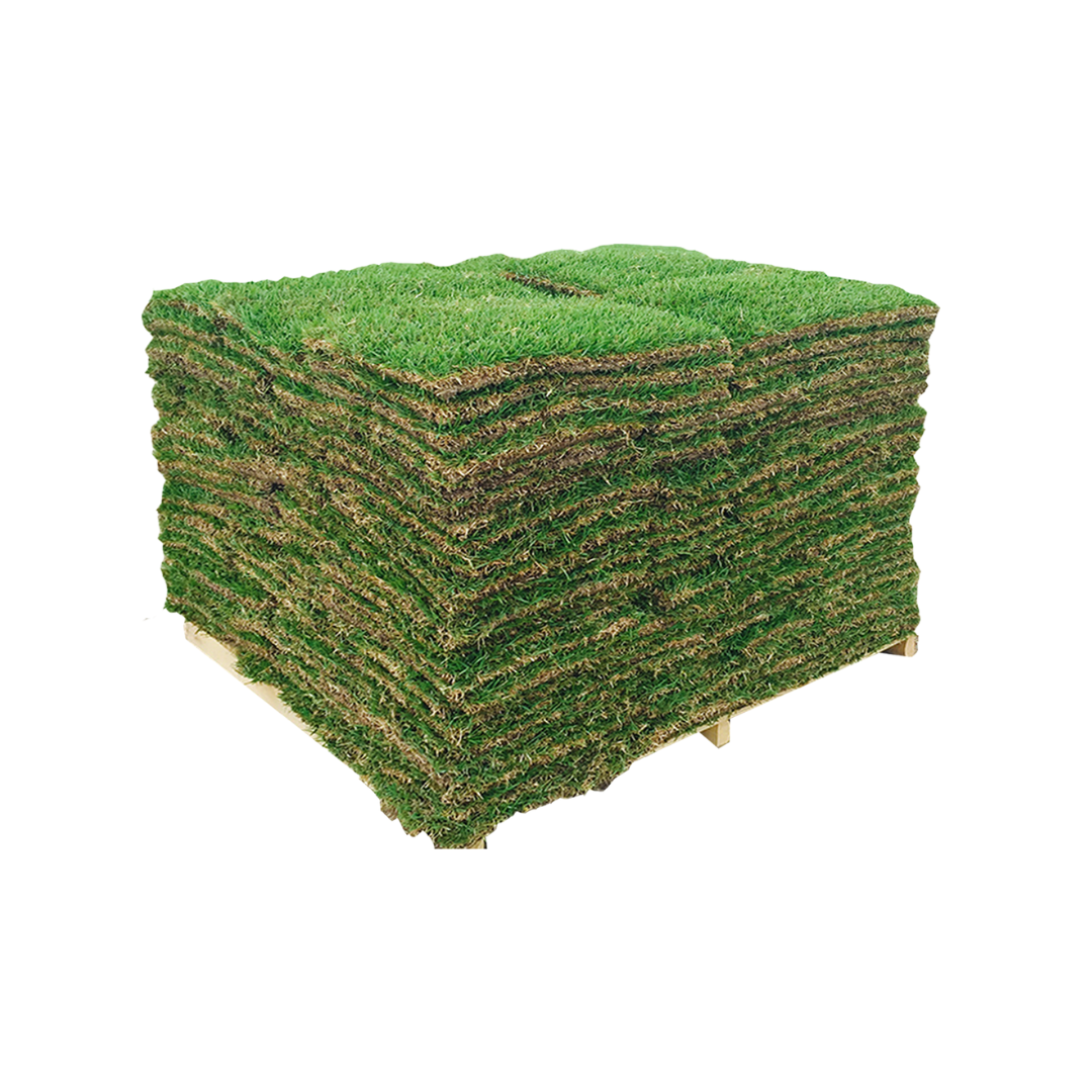 Harmony Outdoor Brands 500-sq ft Natural Bermuda Sod Pallet