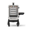 Pit Boss 6 Series Pro Elite 1529-Sq. in Stainless Steel Pellet Smoker