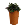 Good Ideas 50-Gallons Terra Cotta Plastic Rain Barrel Spigot