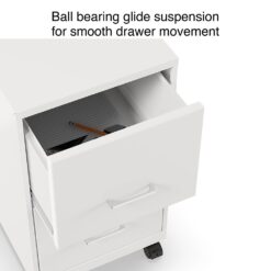 Staples 2-Drawer Mobile Vertical File Cabinet, Letter Size, Lockable, 26.3