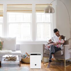 Frigidaire 2.6375-Gallon 60-Pint 2-Speed Dehumidifier (For Rooms 151- 400sq ft) White