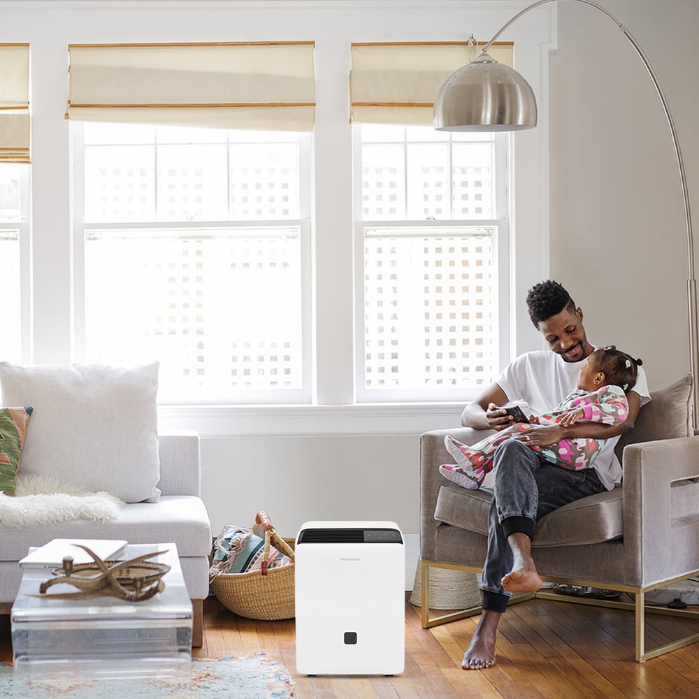 Frigidaire 2.6375-Gallon 60-Pint 2-Speed Dehumidifier (For Rooms 151- 400sq ft) White